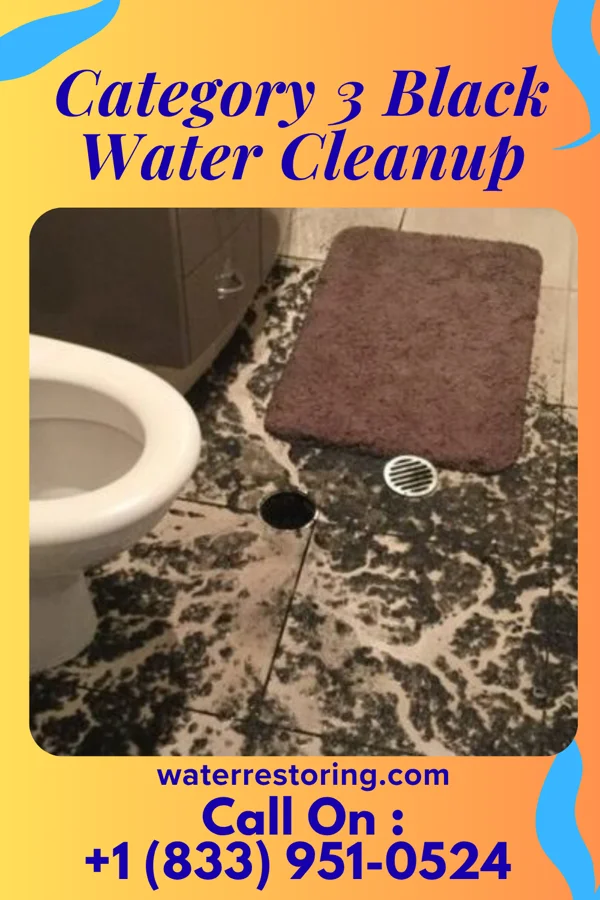 Category 3 Black Water Cleanup in West Hollywood, CA